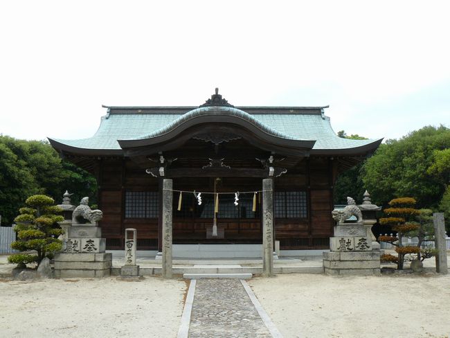 �{�������{