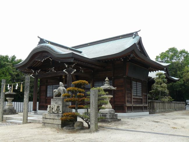 �{�������{