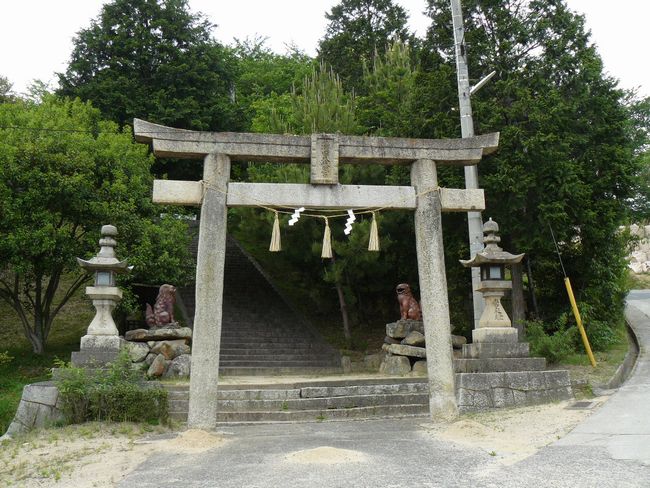 ���c�����_��