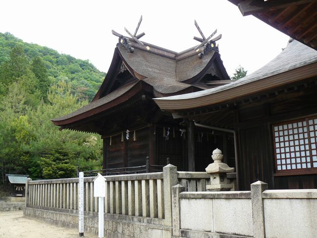 ���c�����_��