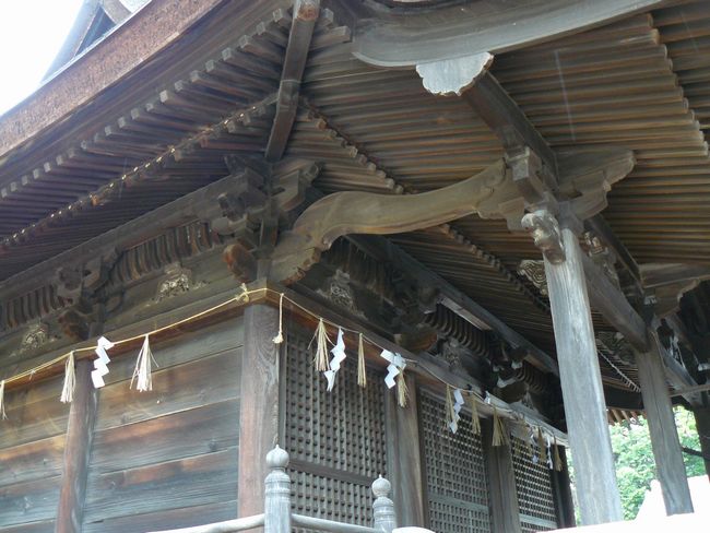 ���c�����_��