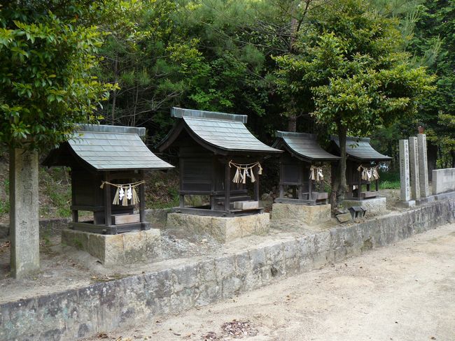 ���c�����_��