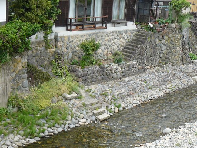 �����M������