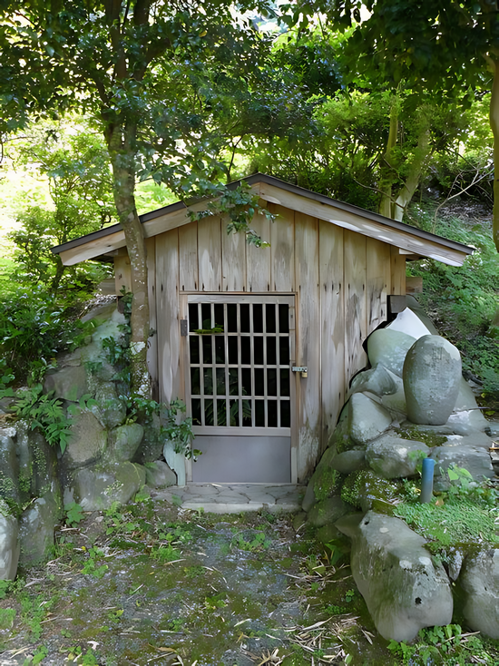 �~���T�t�a����