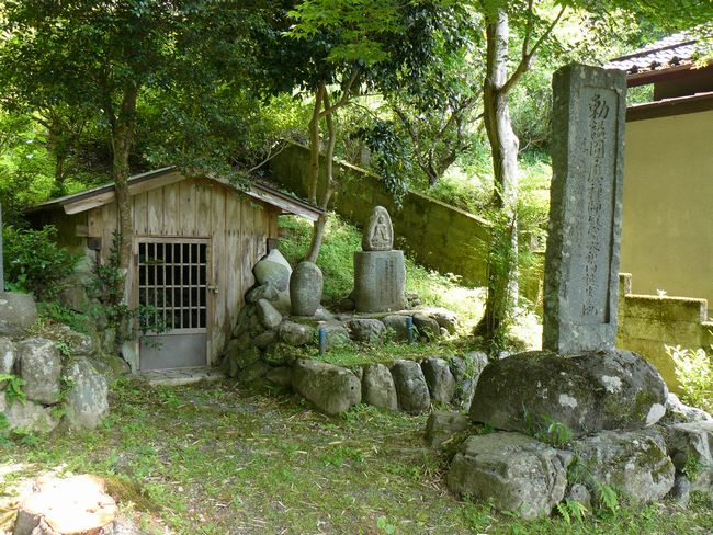 �~���T�t�a����