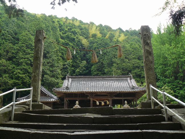 ���c�_��