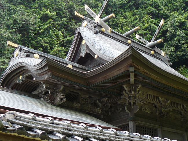 ���c�_��