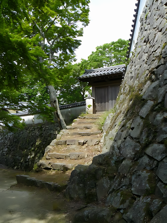 �����i�������R��j