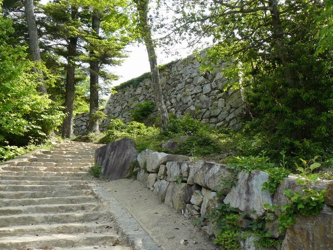 �����ۊ�