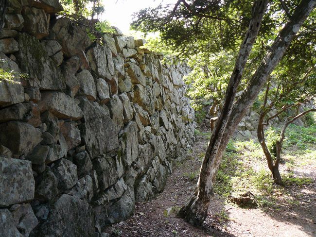 �����ۊ�