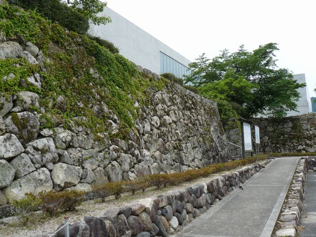 ���H�w��