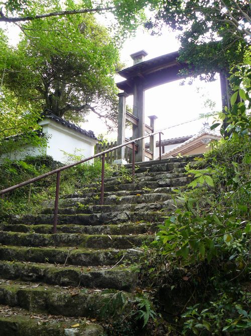 ����c���~��