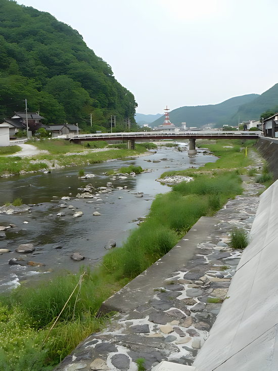 �����M������