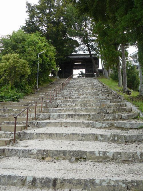 �D�씪���{