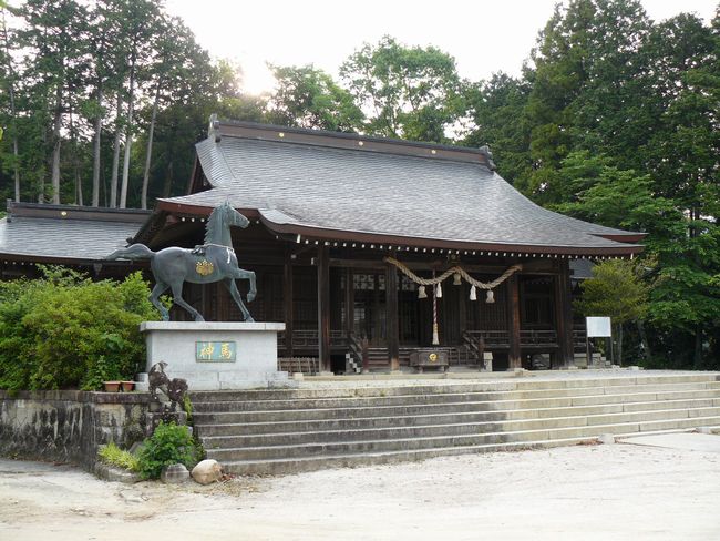 �D�씪���{