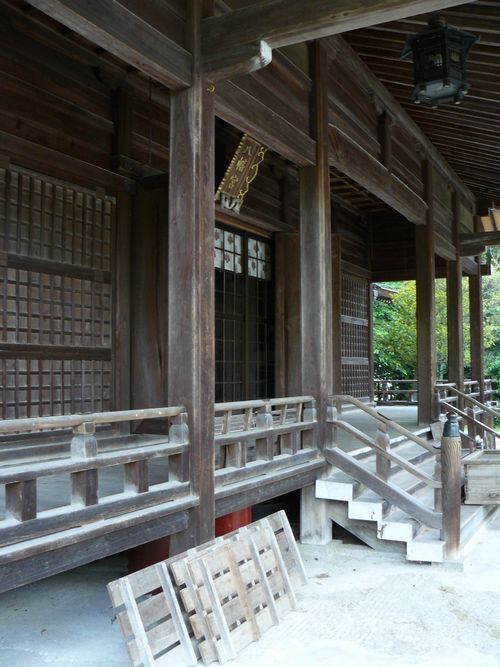 �D�씪���{