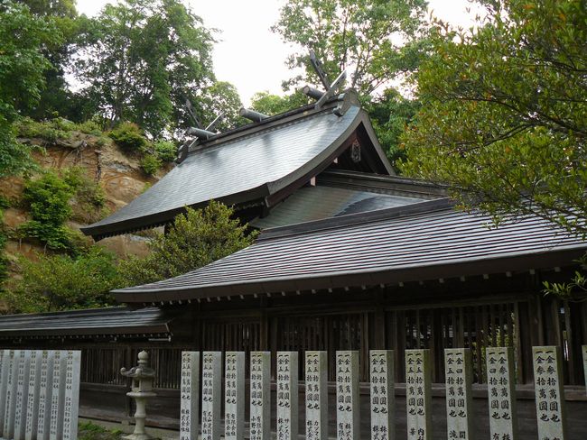 �D�씪���{