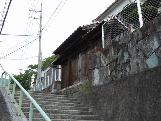 �V���w��