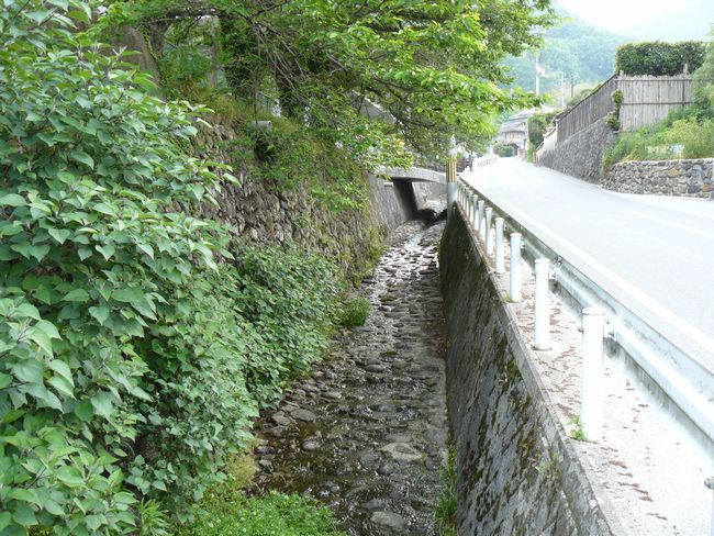 �V���w��