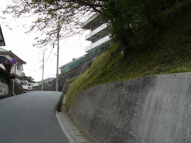 �V���w��