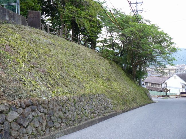 �V���w��