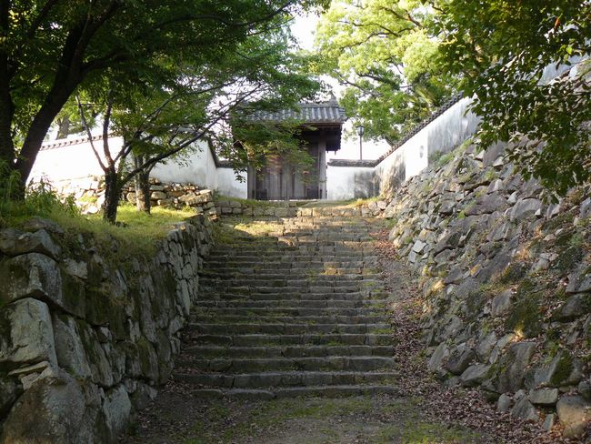 �Z�\���ؖ�