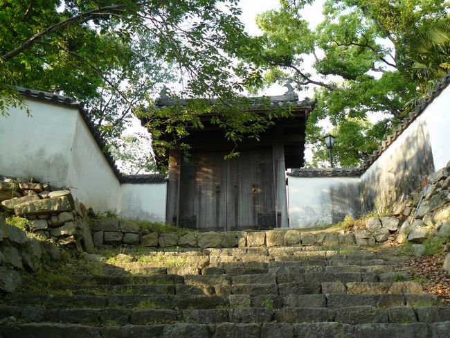 �Z�\���ؖ�