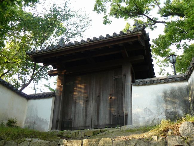 �Z�\���ؖ�