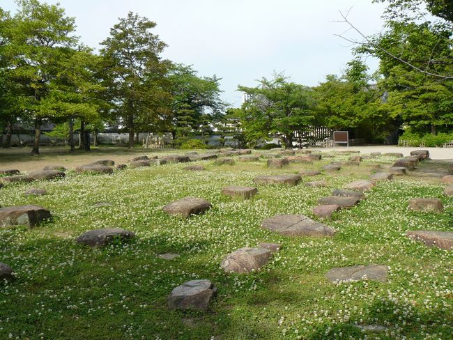 �V��t�b��