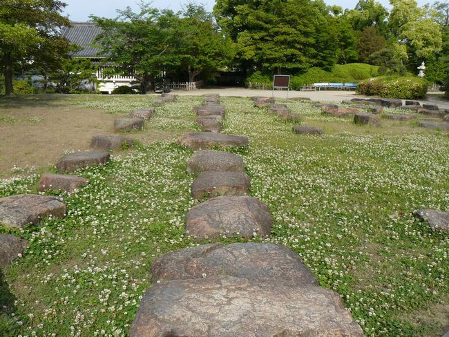 �V��t�b��