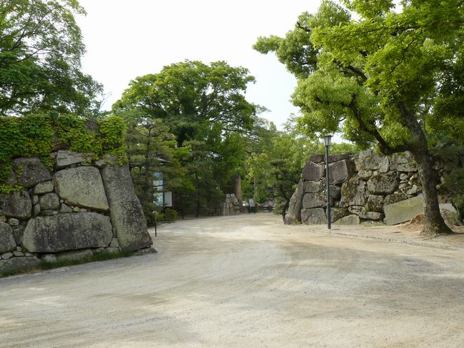 �����n��