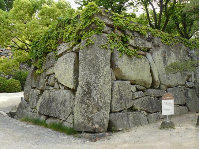 �����n��