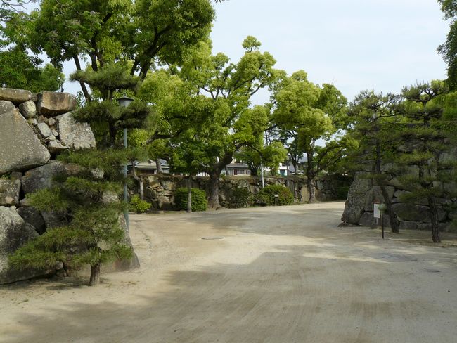 �����n��