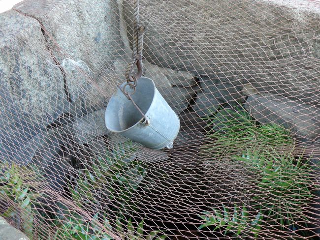 ������ˌQ