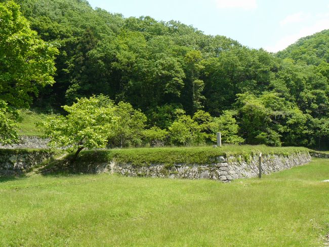 �Óc�i�����