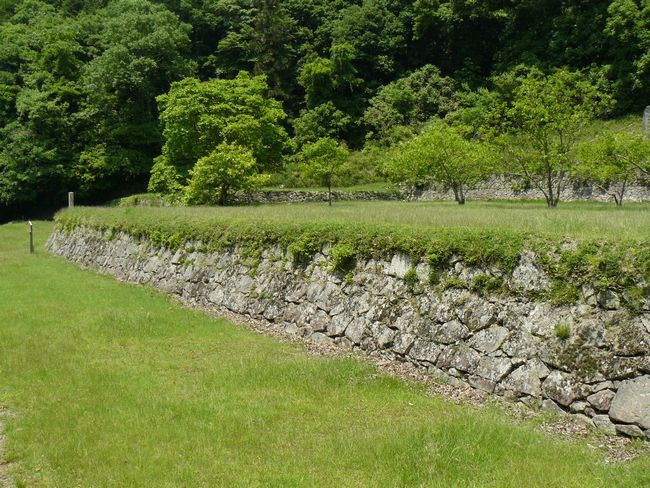 �Óc�i�����