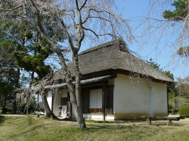 ������ƏZ��