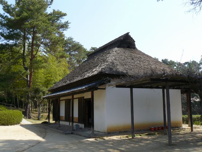 ������ƏZ��