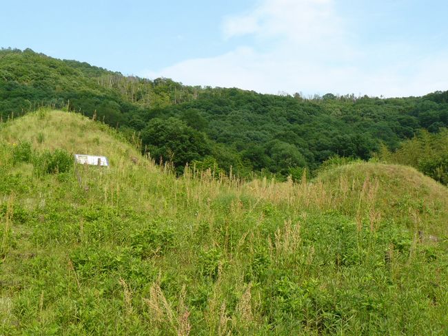 �O�����Õ��Q