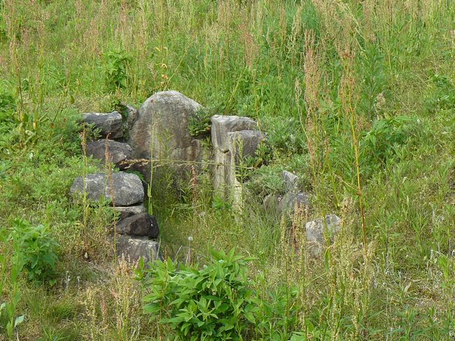 �O�����Õ��Q