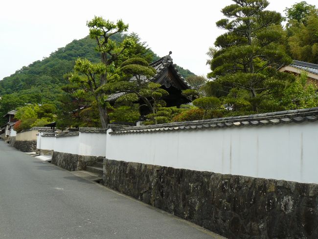 �����ƏZ��