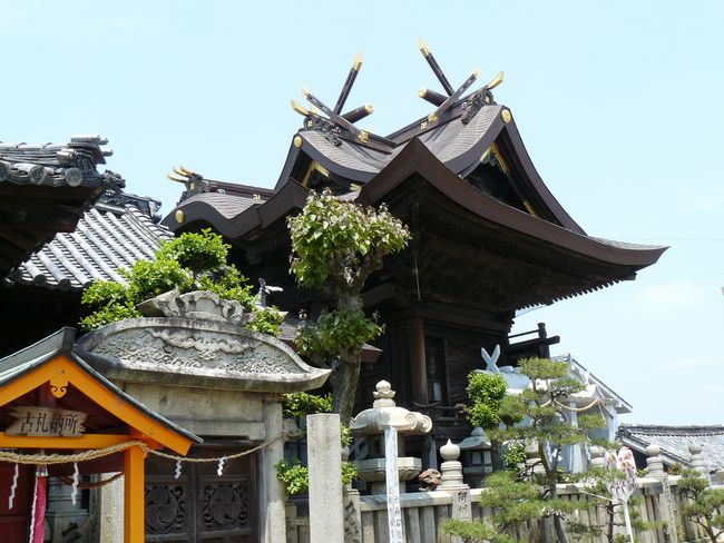 �H���_��