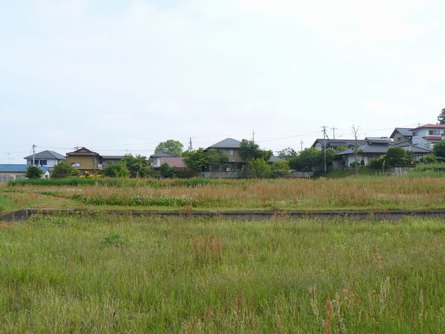 ���썑������