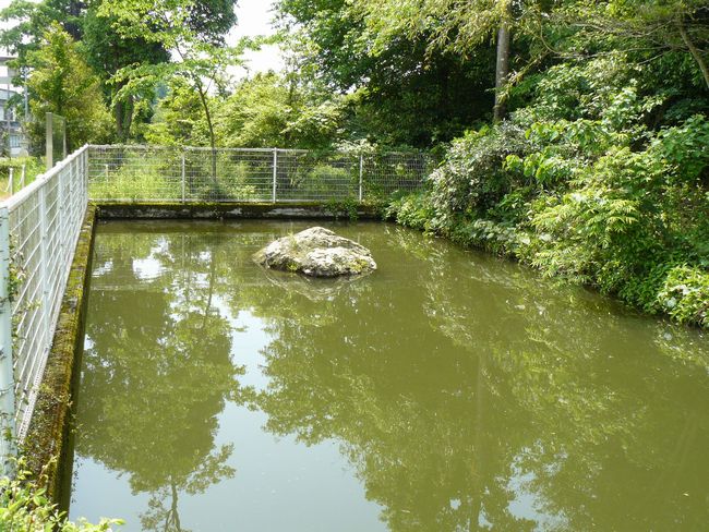 ���R�_��