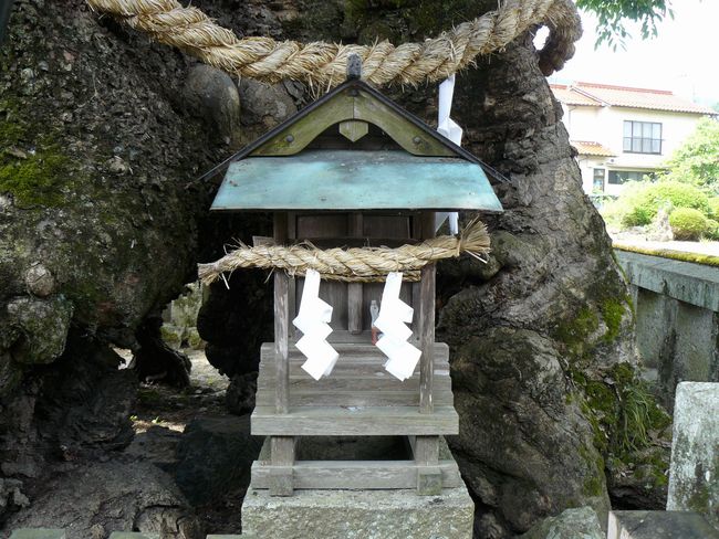 ���R�_��