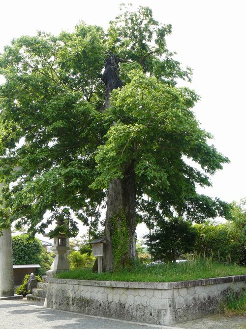 ���R�_��