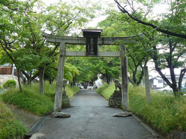 �������_��