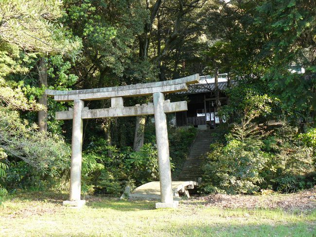 �玟�E���g�_��