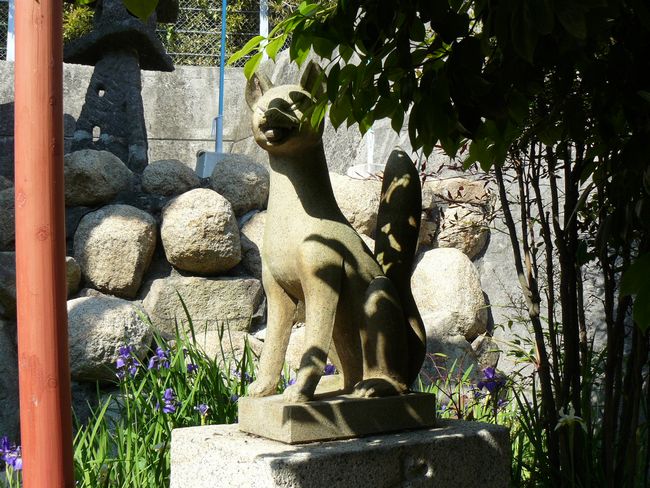 �ň��א_��