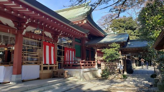 �v�ɓ��_��